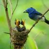 field_featured_image