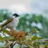 field_featured_image
