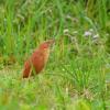 field_featured_image