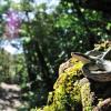 field_featured_image