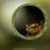 field_featured_image