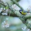 field_featured_image
