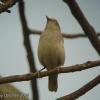 field_featured_image