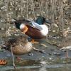 field_featured_image