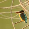 field_featured_image