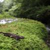 field_featured_image