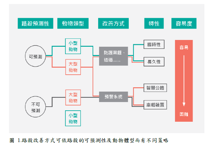 路殺改善策略