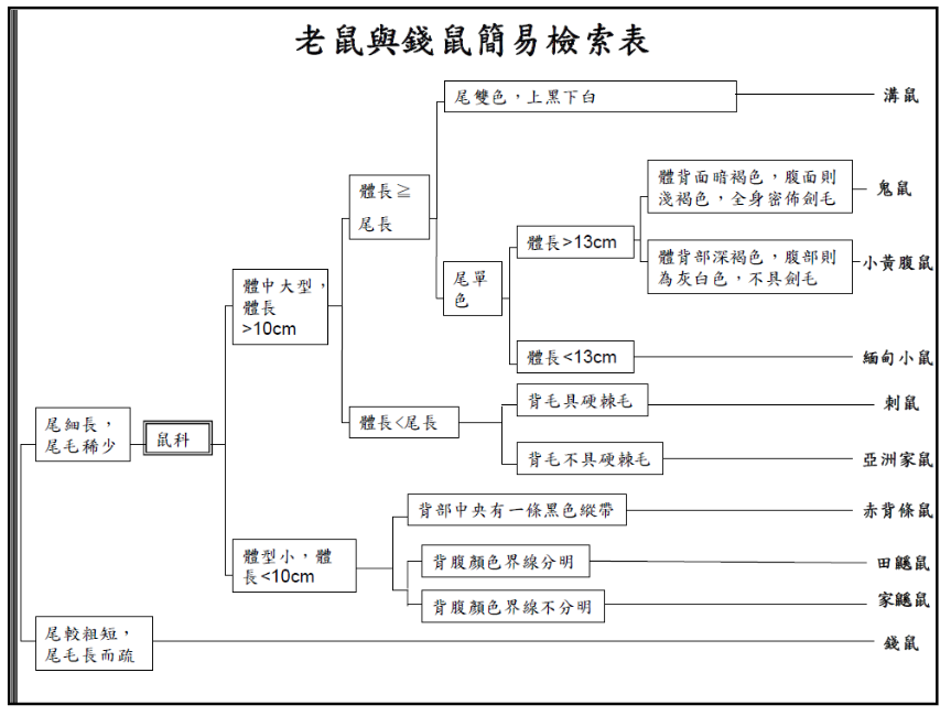 key of rats in Taiwan