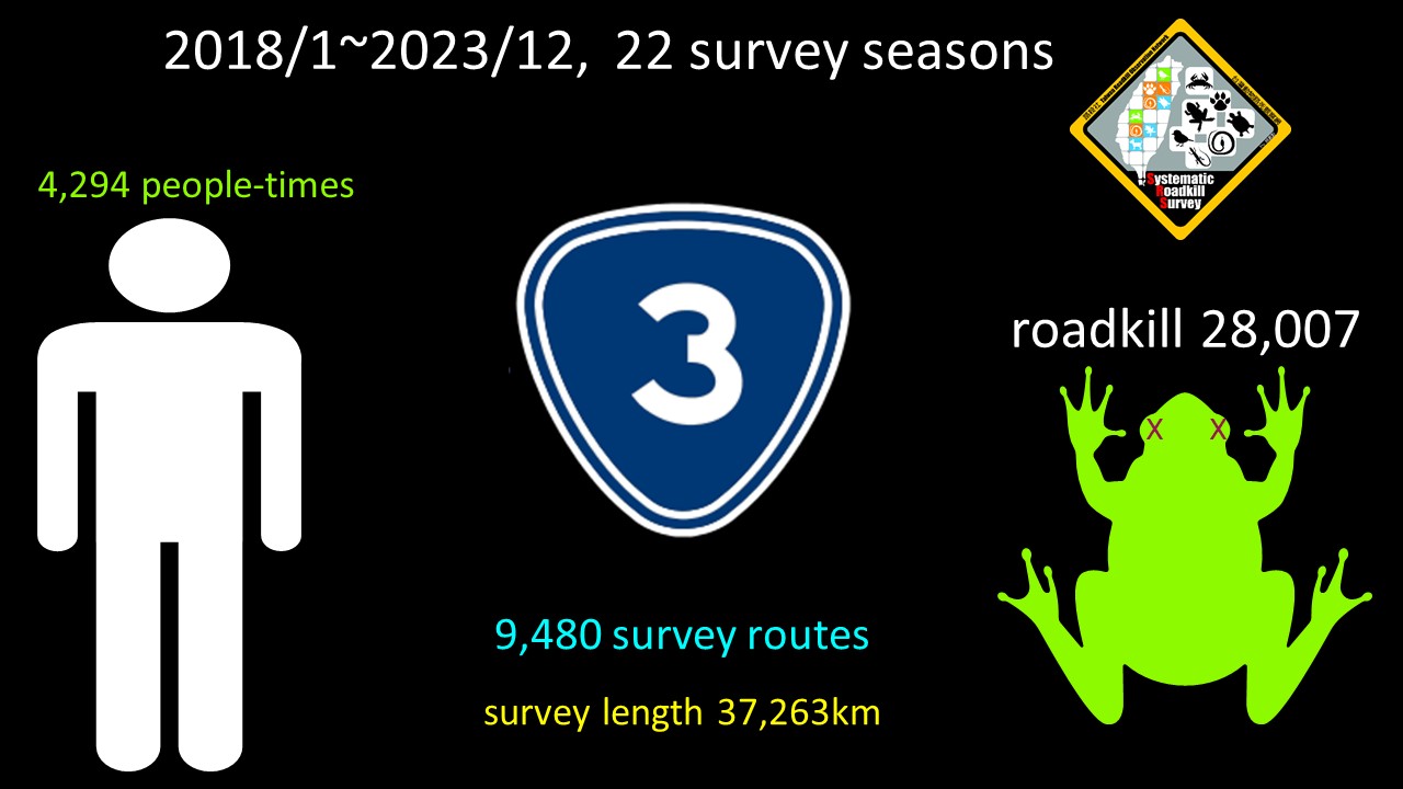 systematic roadkii survey result