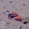 field_featured_image